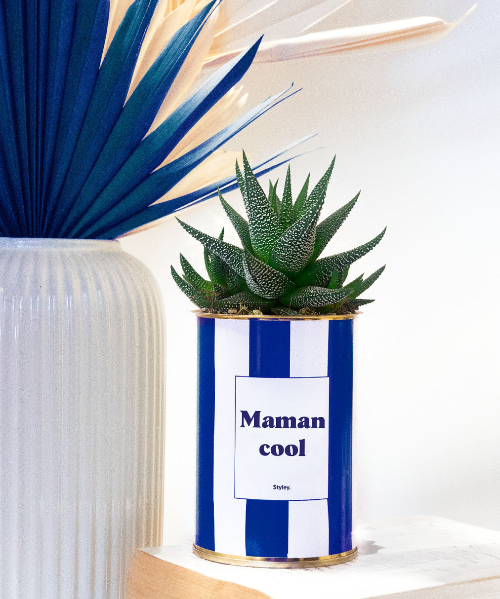 Maman cool - Cactus