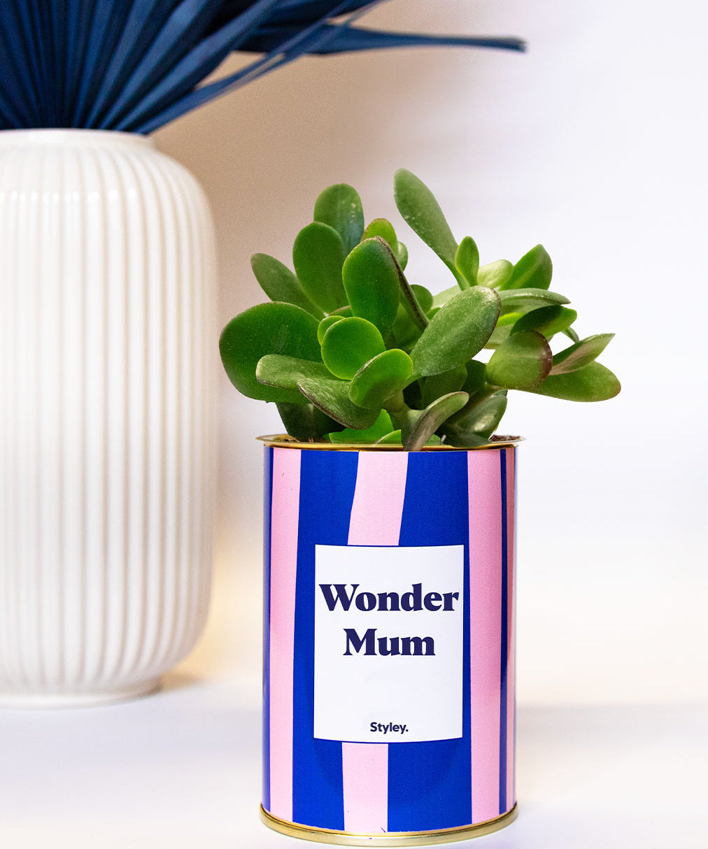 Wonder mum - Cactus