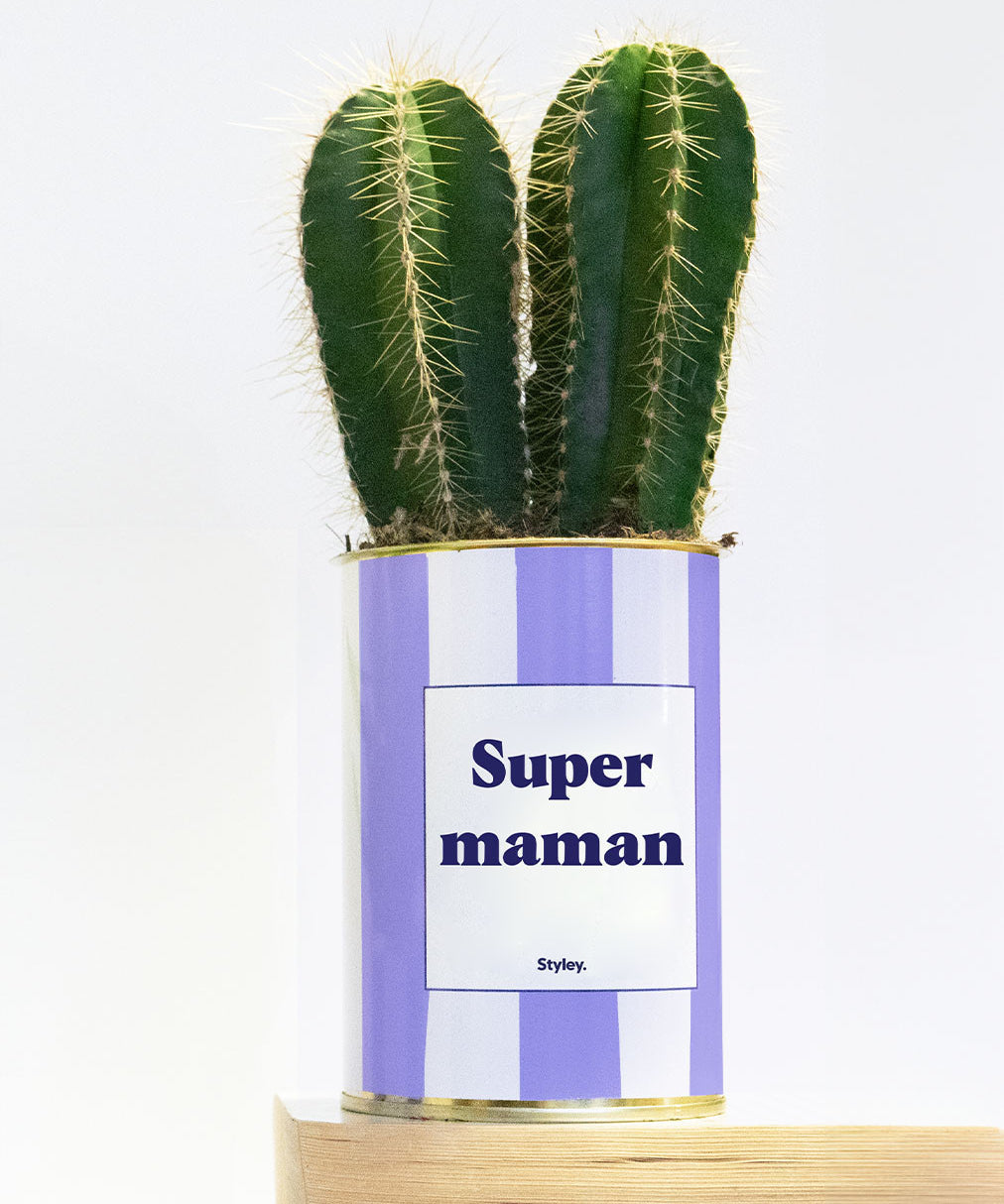 Super Maman - Cactus