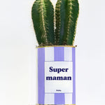 Super Maman - Cactus