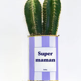 Super Maman - Cactus