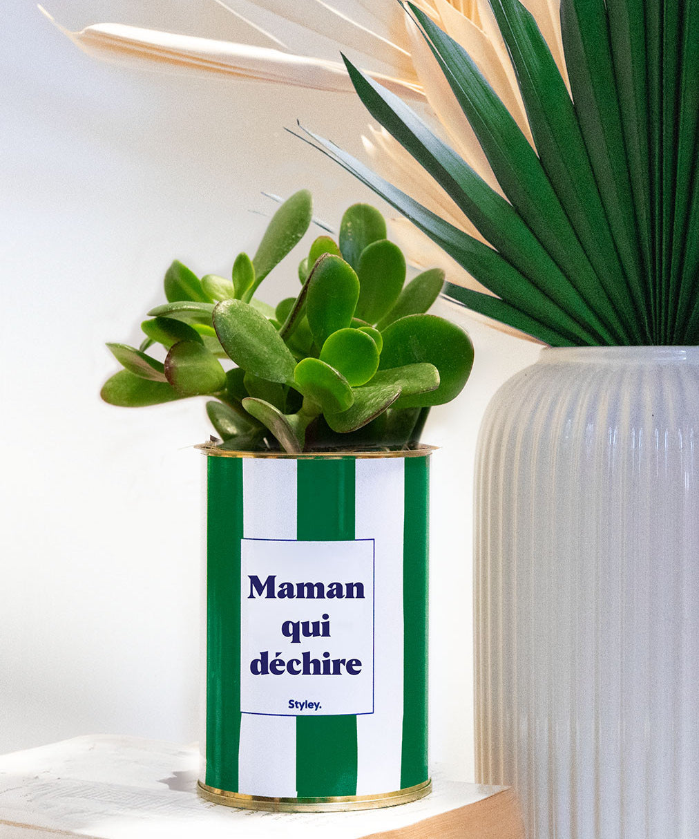 Maman qui déchire - Cactus