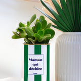 Maman qui déchire - Cactus