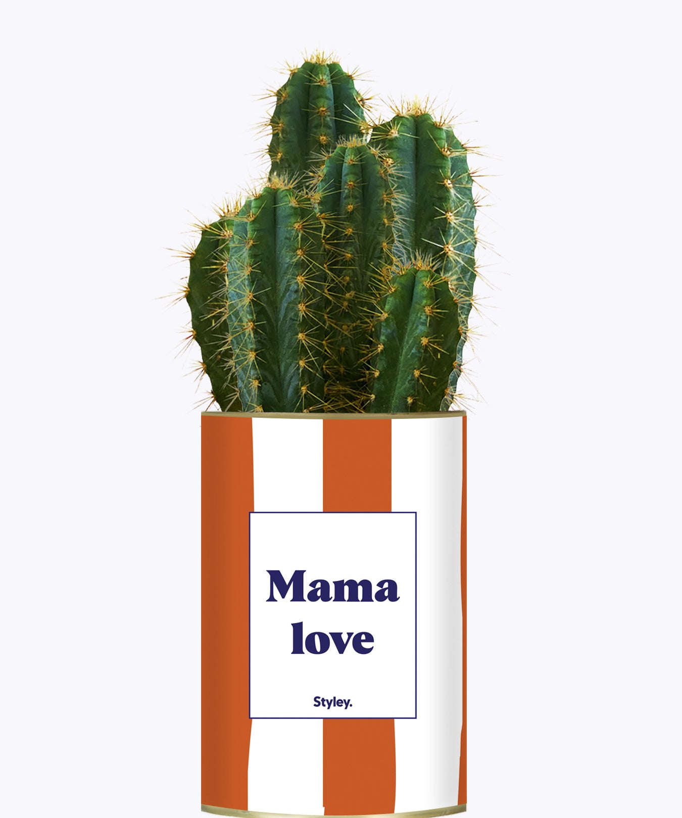 Mama Love - Cactus