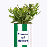 Maman qui déchire - Cactus