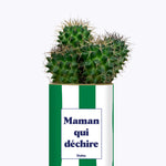 Maman qui déchire - Cactus
