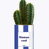 Maman cool - Cactus