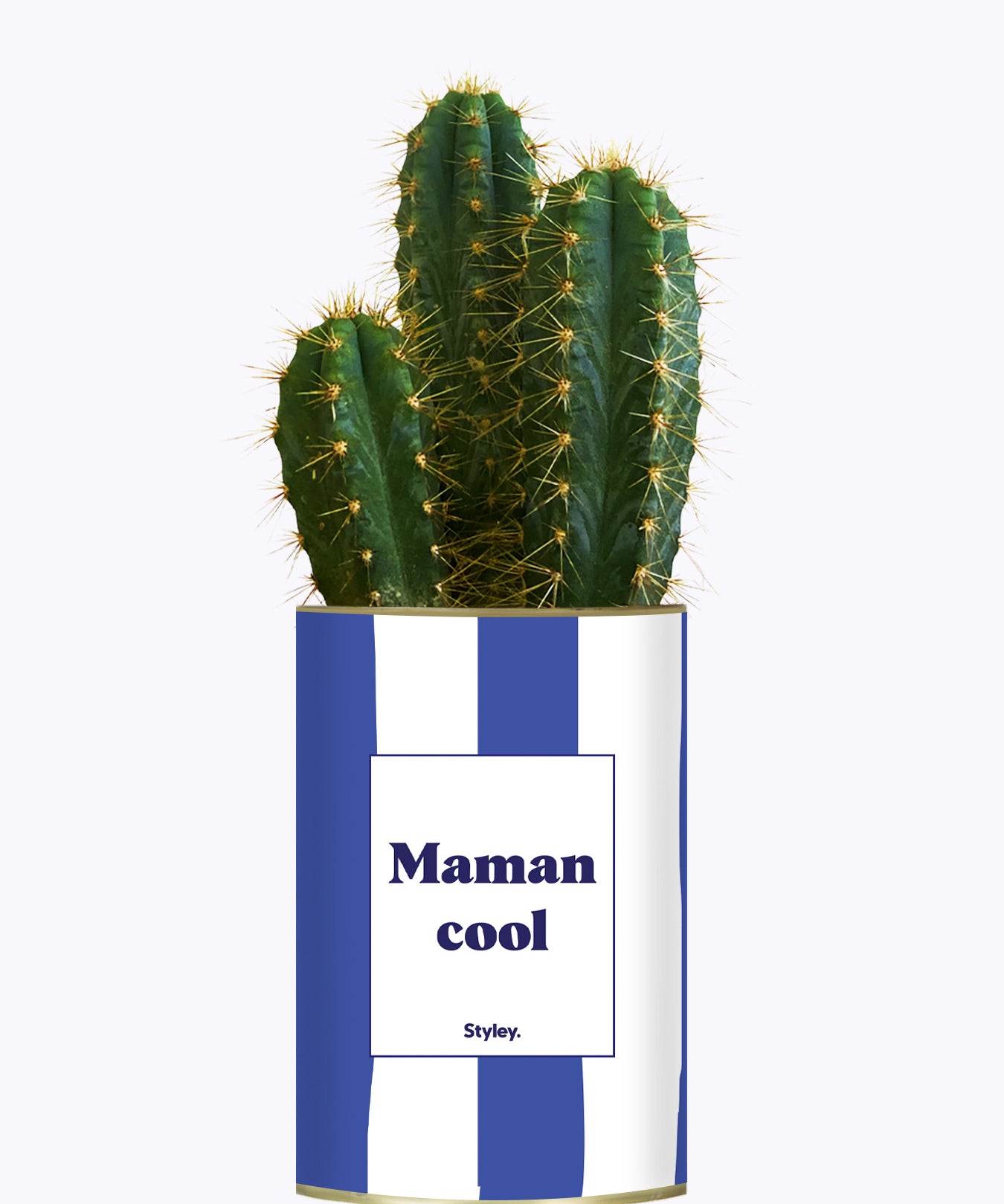 Maman cool - Cactus