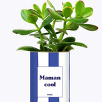 Maman cool - Cactus