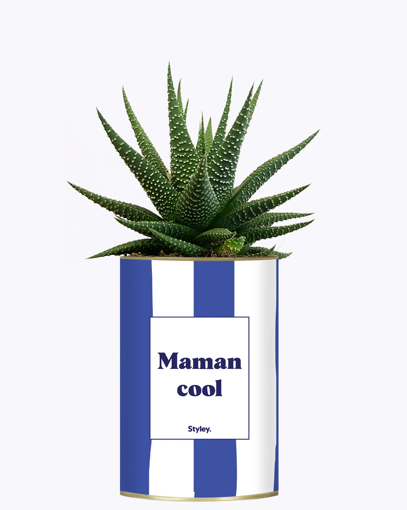 Maman cool - Cactus