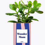 Wonder mum - Cactus