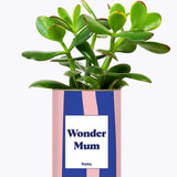 Wonder mum - Cactus