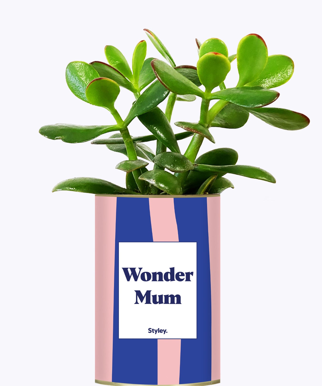 Wonder mum - Cactus
