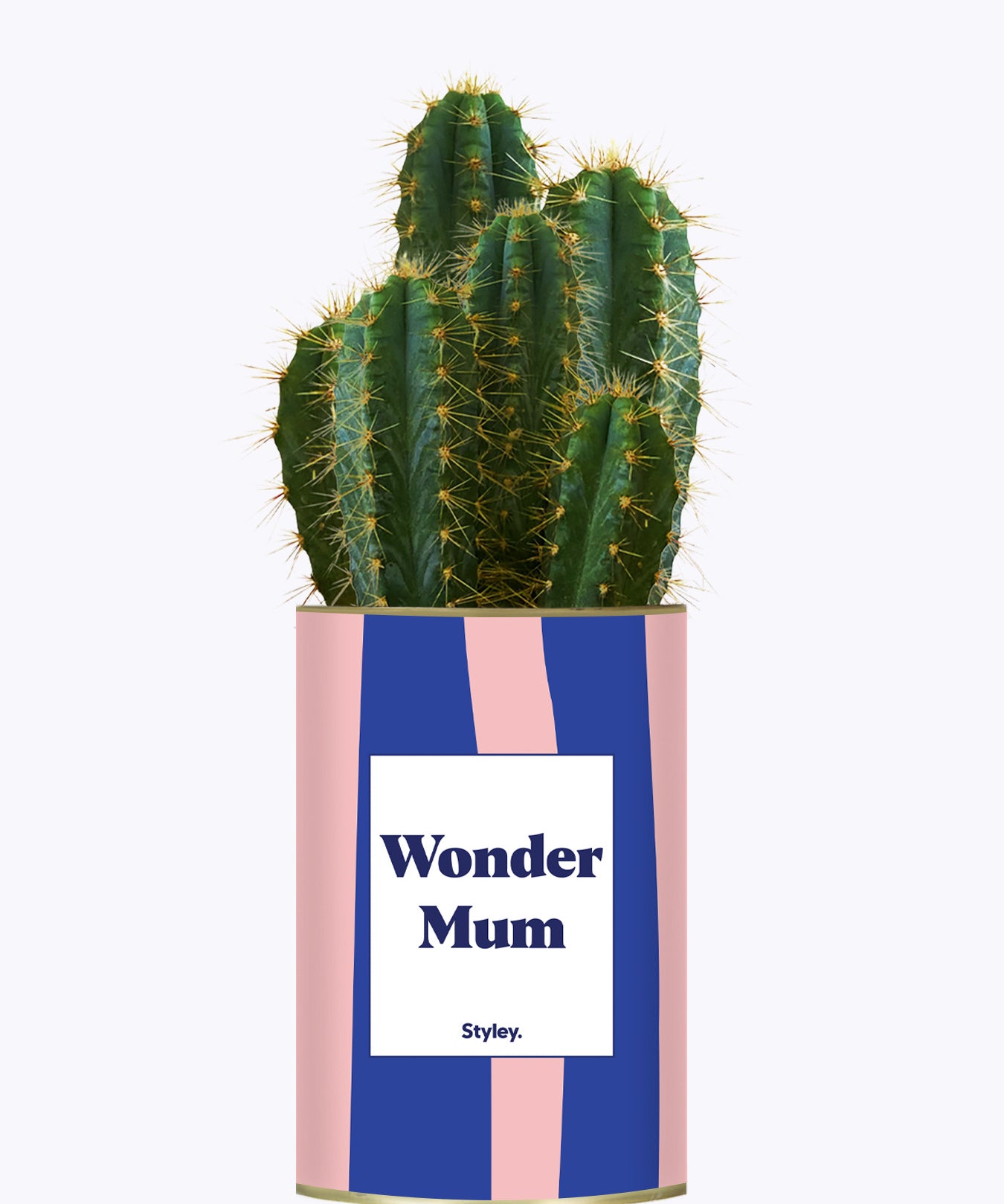 Wonder mum - Cactus
