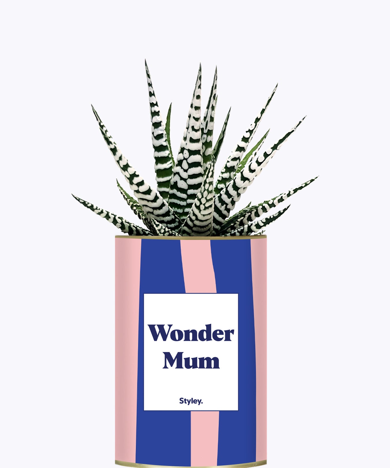 Wonder mum - Cactus