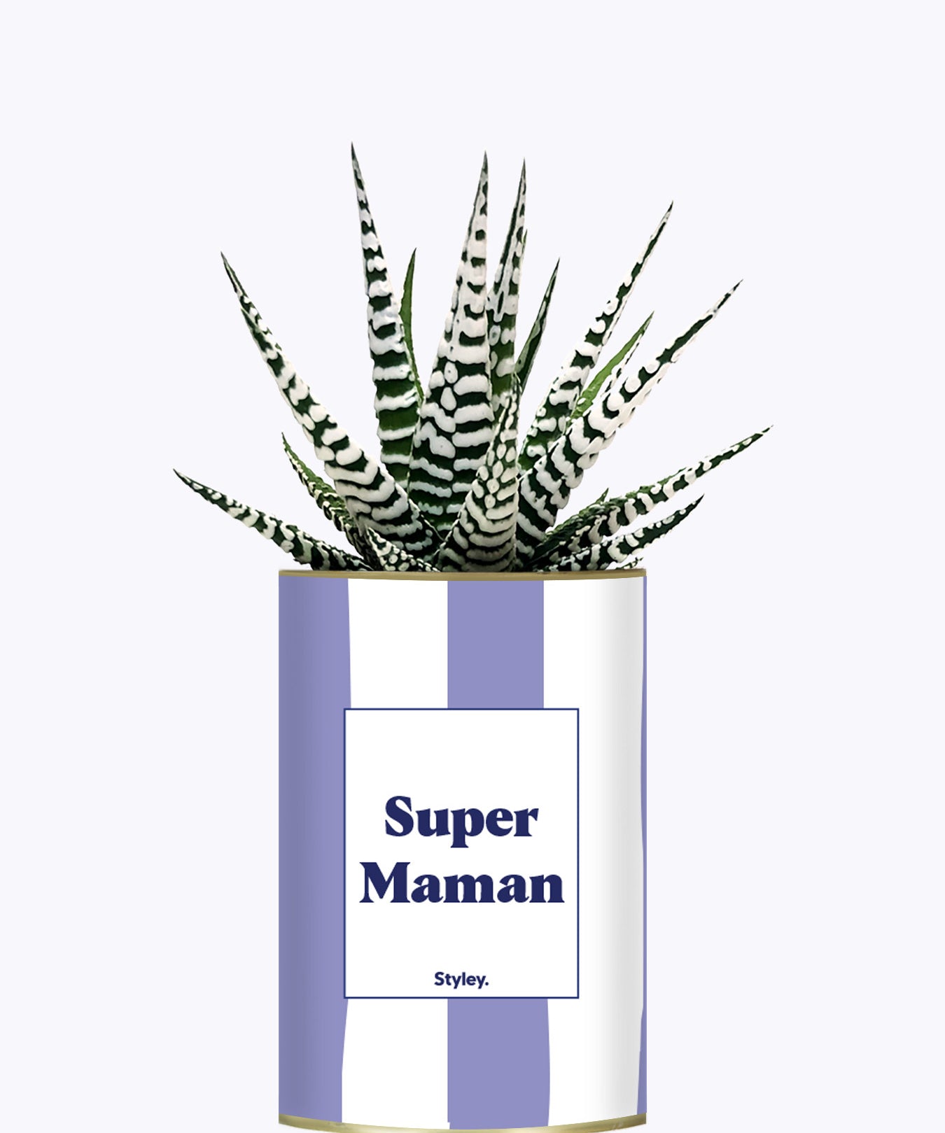 Super Maman - Cactus