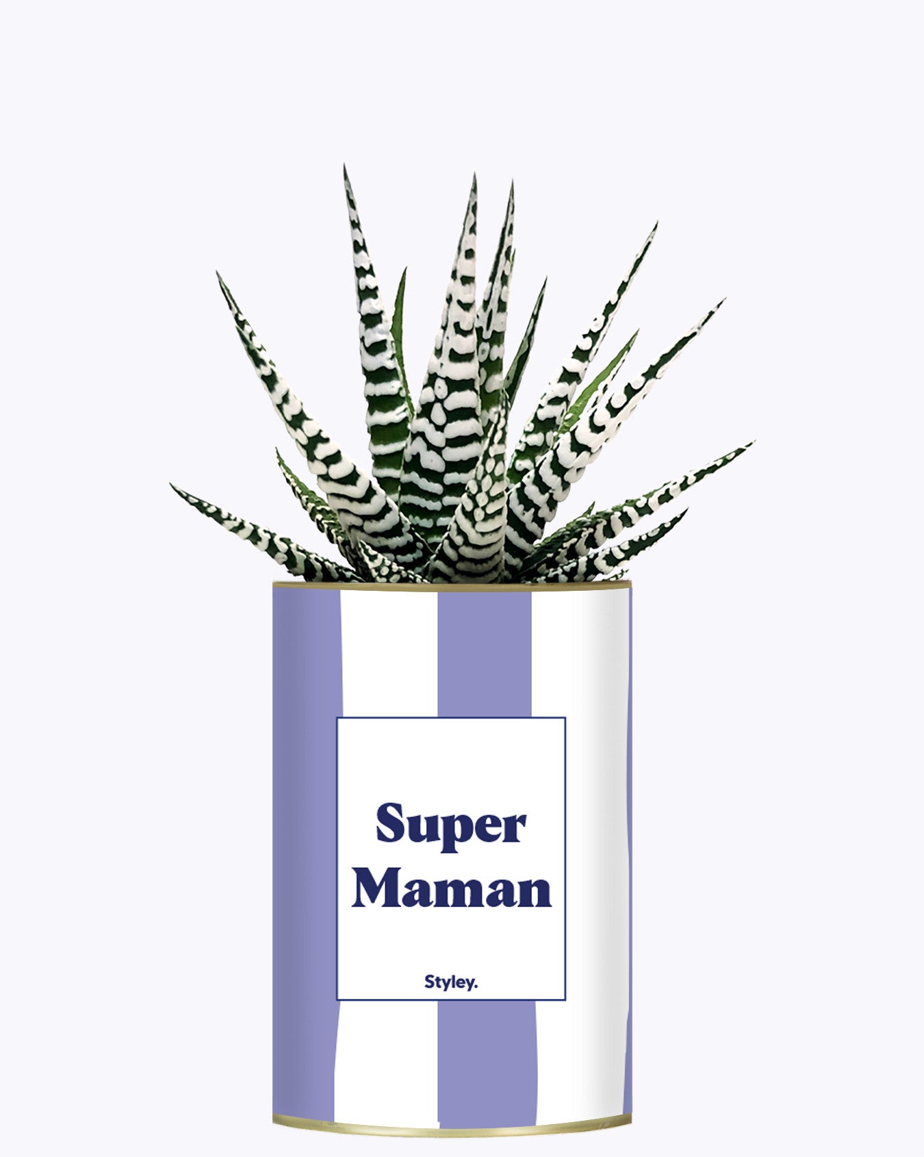 Super Maman - Cactus