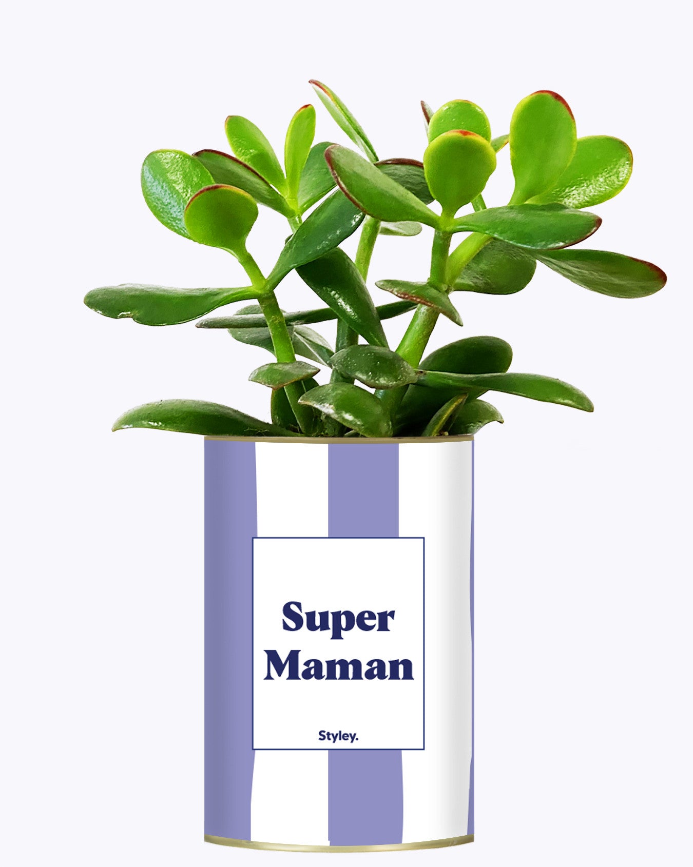 Super Maman - Cactus