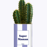 Super Maman - Cactus