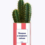 Maman a toujours raison - Cactus