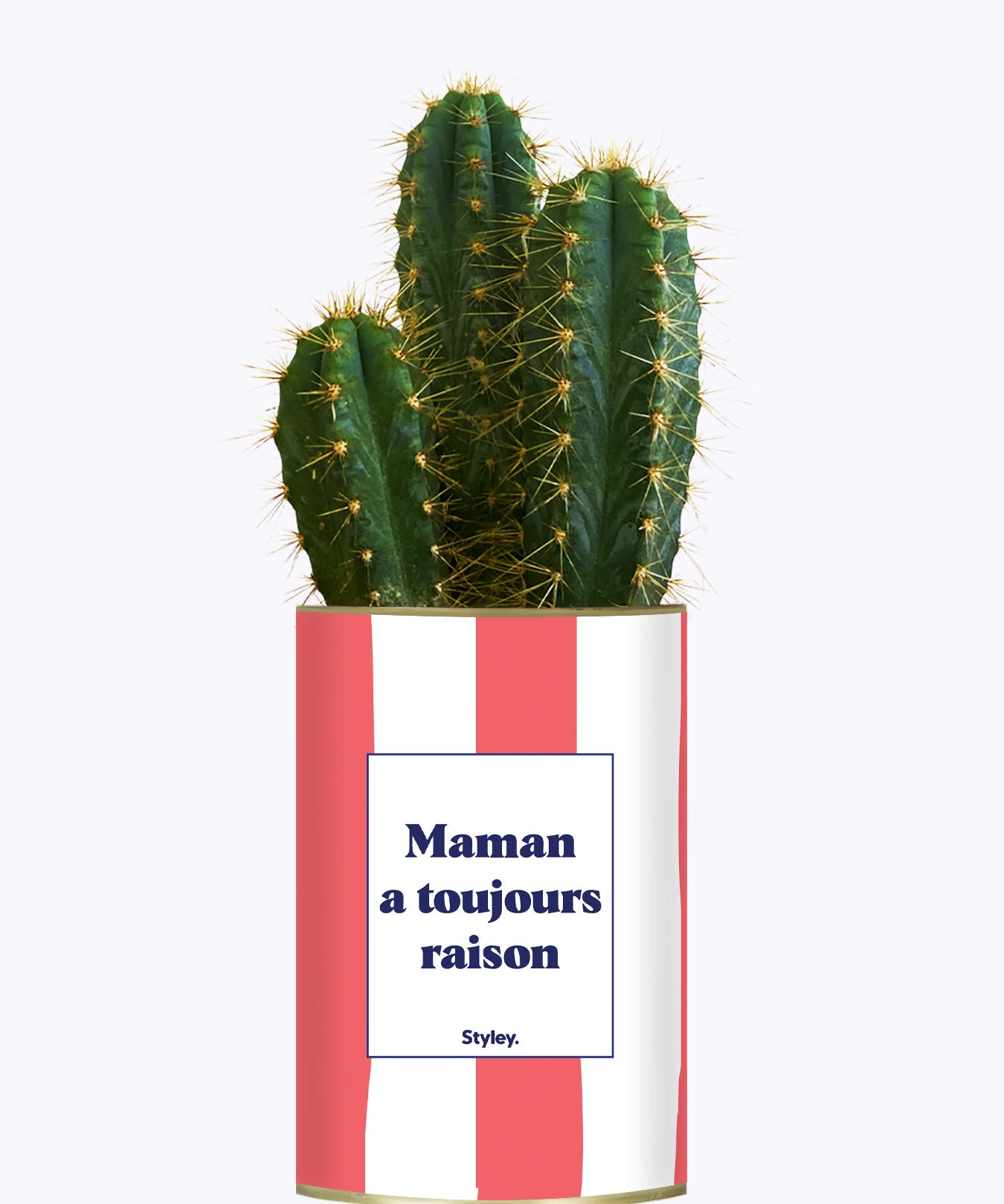 Maman a toujours raison - Cactus