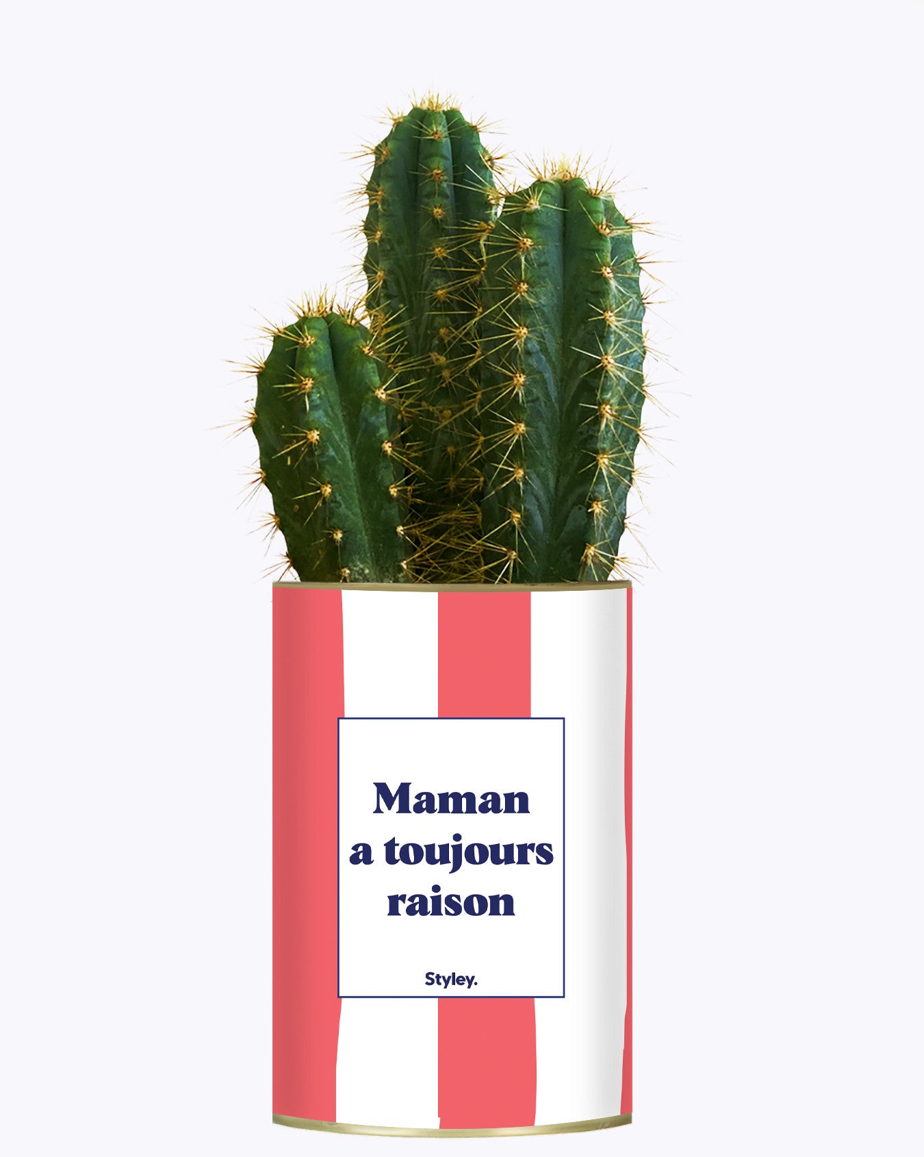 Maman a toujours raison - Cactus