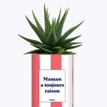 Maman a toujours raison - Cactus