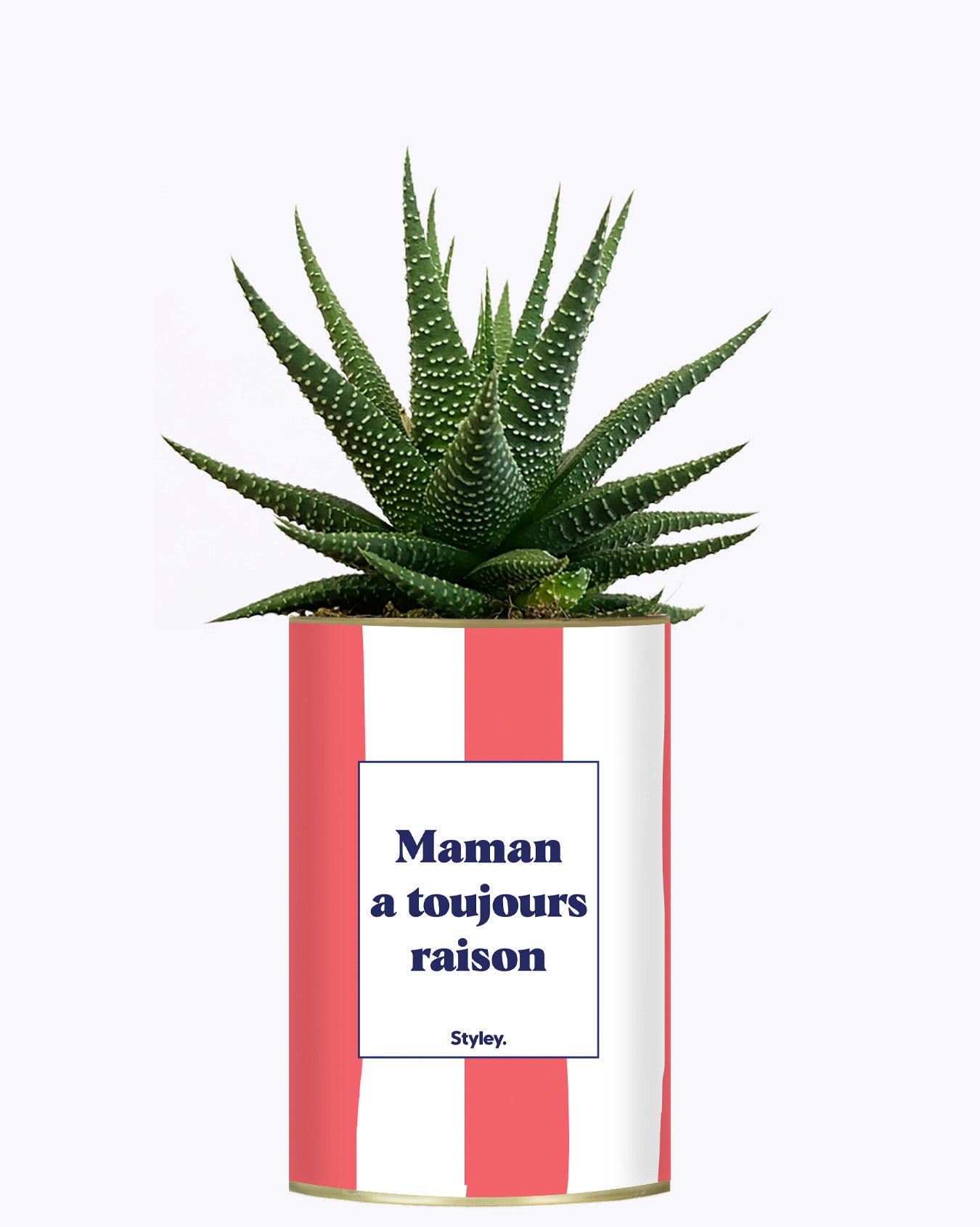 Maman a toujours raison - Cactus