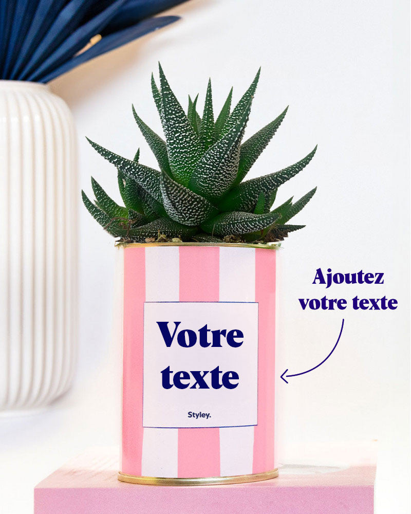 Rayures roses - Plante personnalisable