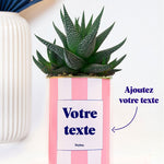 Rayures roses - Plante personnalisable