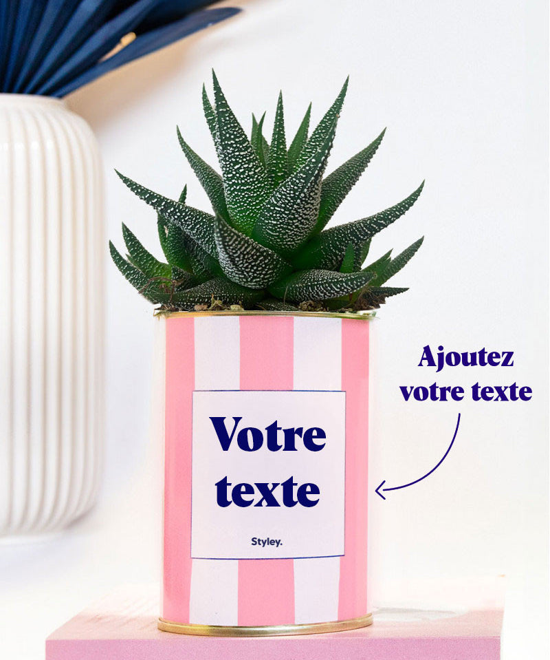 Rayures roses - Plante personnalisable