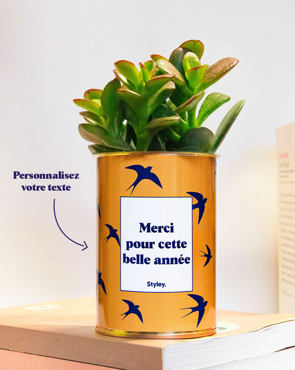 Cactus Hirondelles - Personnalisable