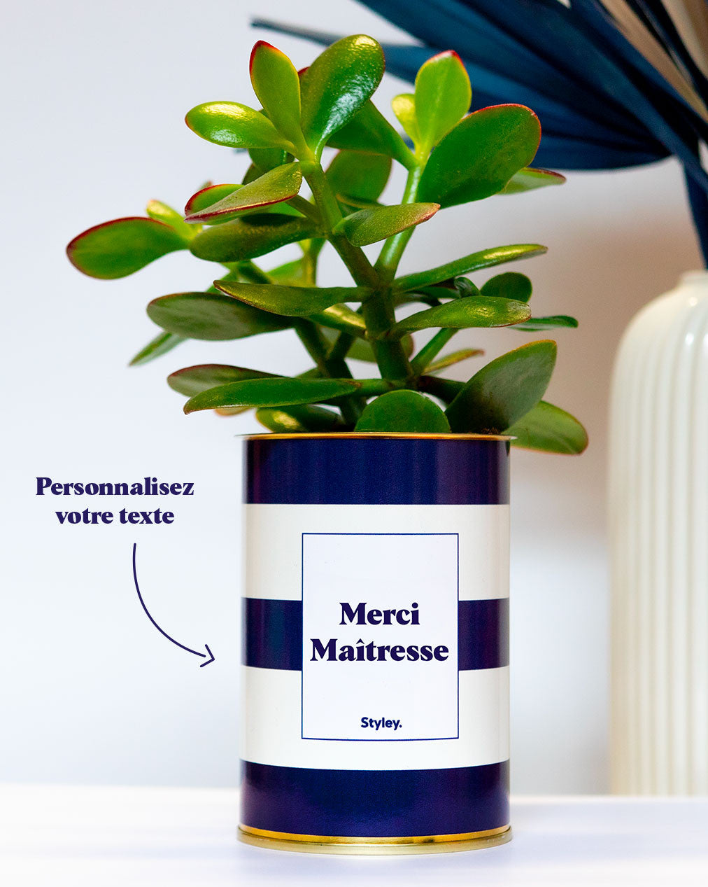 Cactus Cannes - Personnalisable