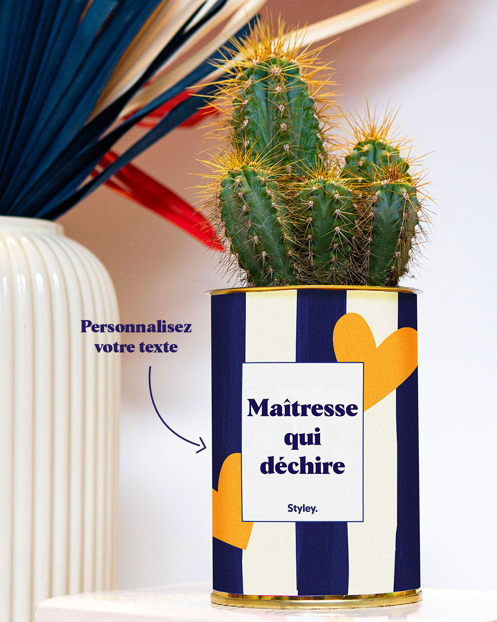 Cactus Côme - Personnalisable