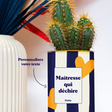 Cactus Côme - Personnalisable