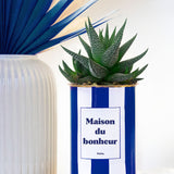 Maison du bonheur - pot à rayures - Plante grasse