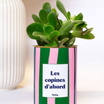 Les copines d'abord - pot à rayures - Plante grasse