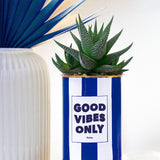 Good Vibes Only - pot à rayures - Plante grasse