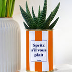 Spritz s'il vous plaît - pot à rayures - Plante grasse