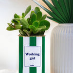 Working Girl - pot à rayures - Plante grasse