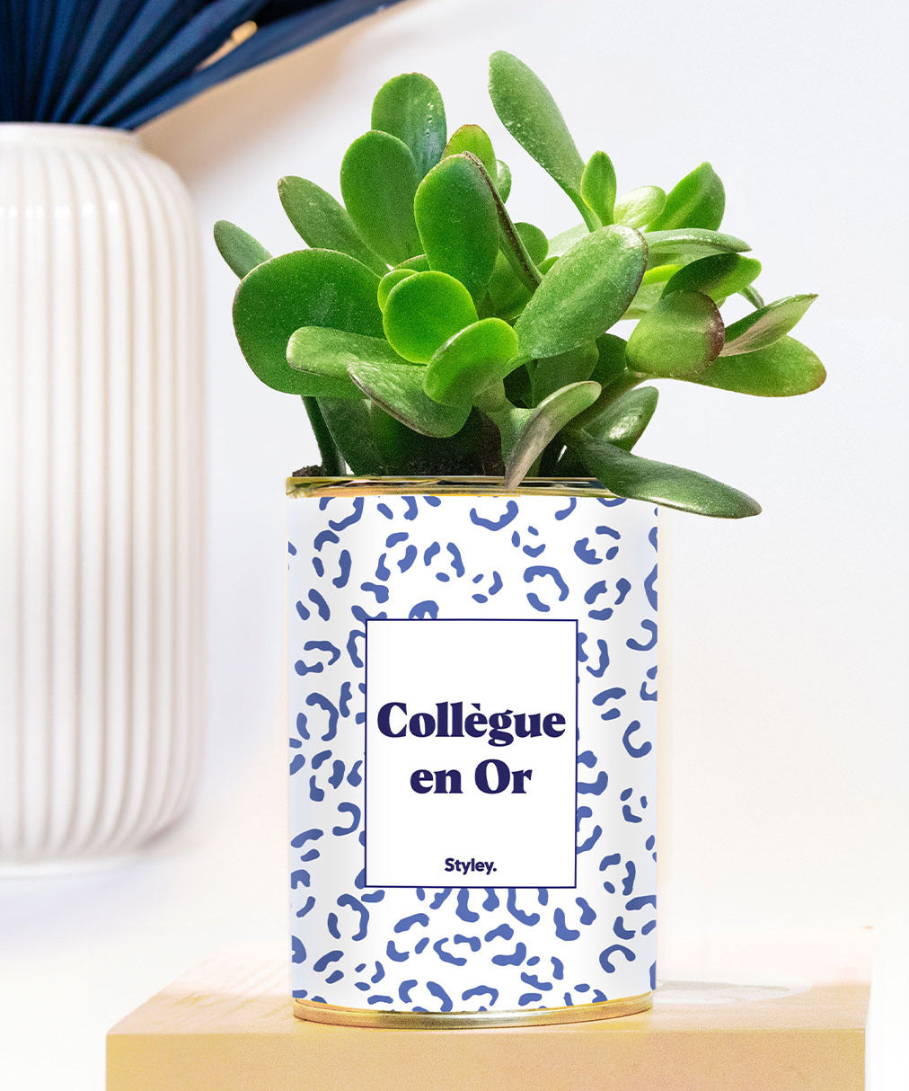 Collègue en or - Plante grasse