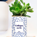 Collègue en or - Plante grasse