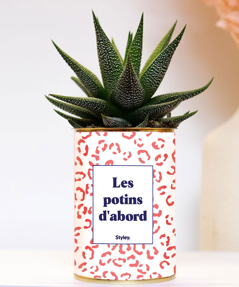 Les potins d'abord - Leopard- Plante grasse