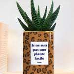Je ne suis pas une plante facile - thème Léopard - Plante grasse