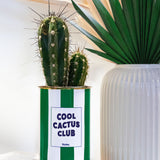 Cool Cactus Club - pot à rayures - Plante grasse
