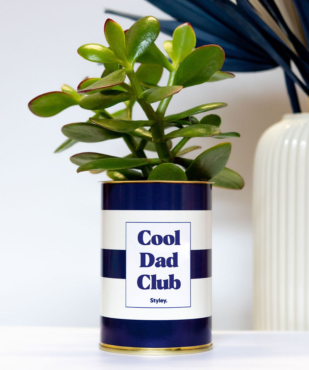 Cool dad club - Plante grasse