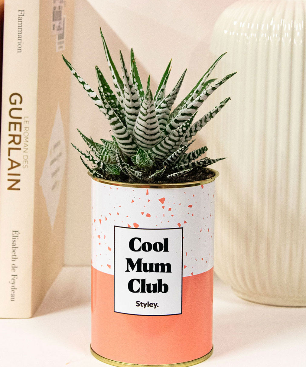 Cool mum club - Plante grasse