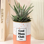 Cool mum club - Plante grasse