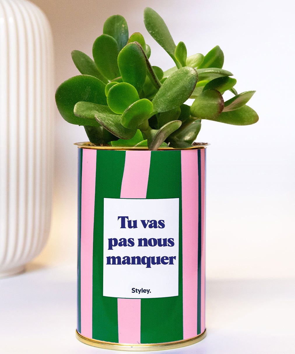Tu vas pas nous manquer - Plante grasse