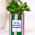 Tu vas pas nous manquer - Plante grasse